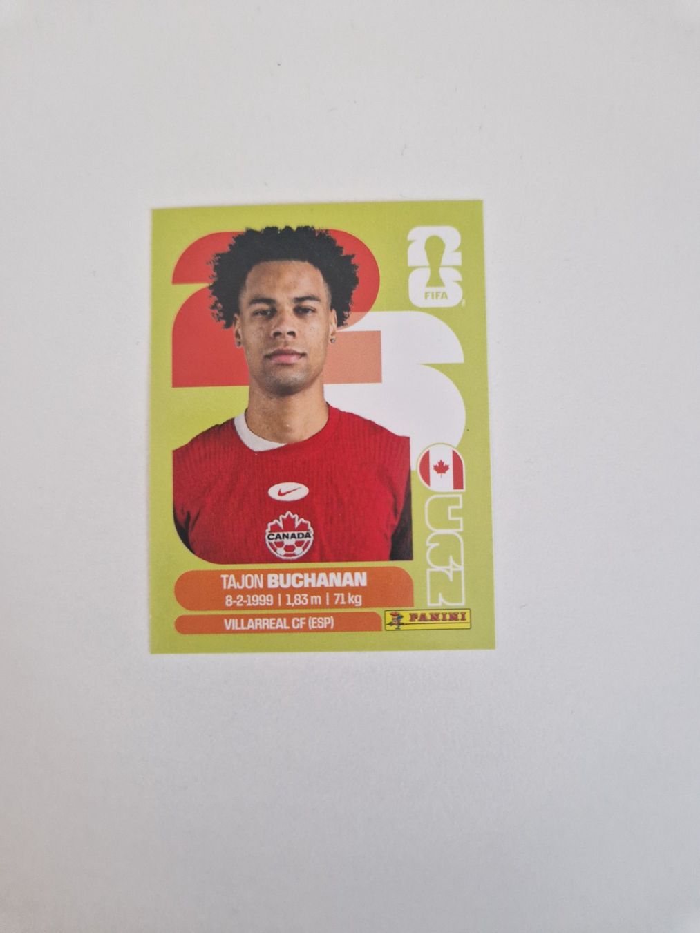 Panini Sammelbilder & Trading cards: Panini Sticker CAN17 – Neu (gemäss Beschreibung) aus Stüsslingen von white_angel86