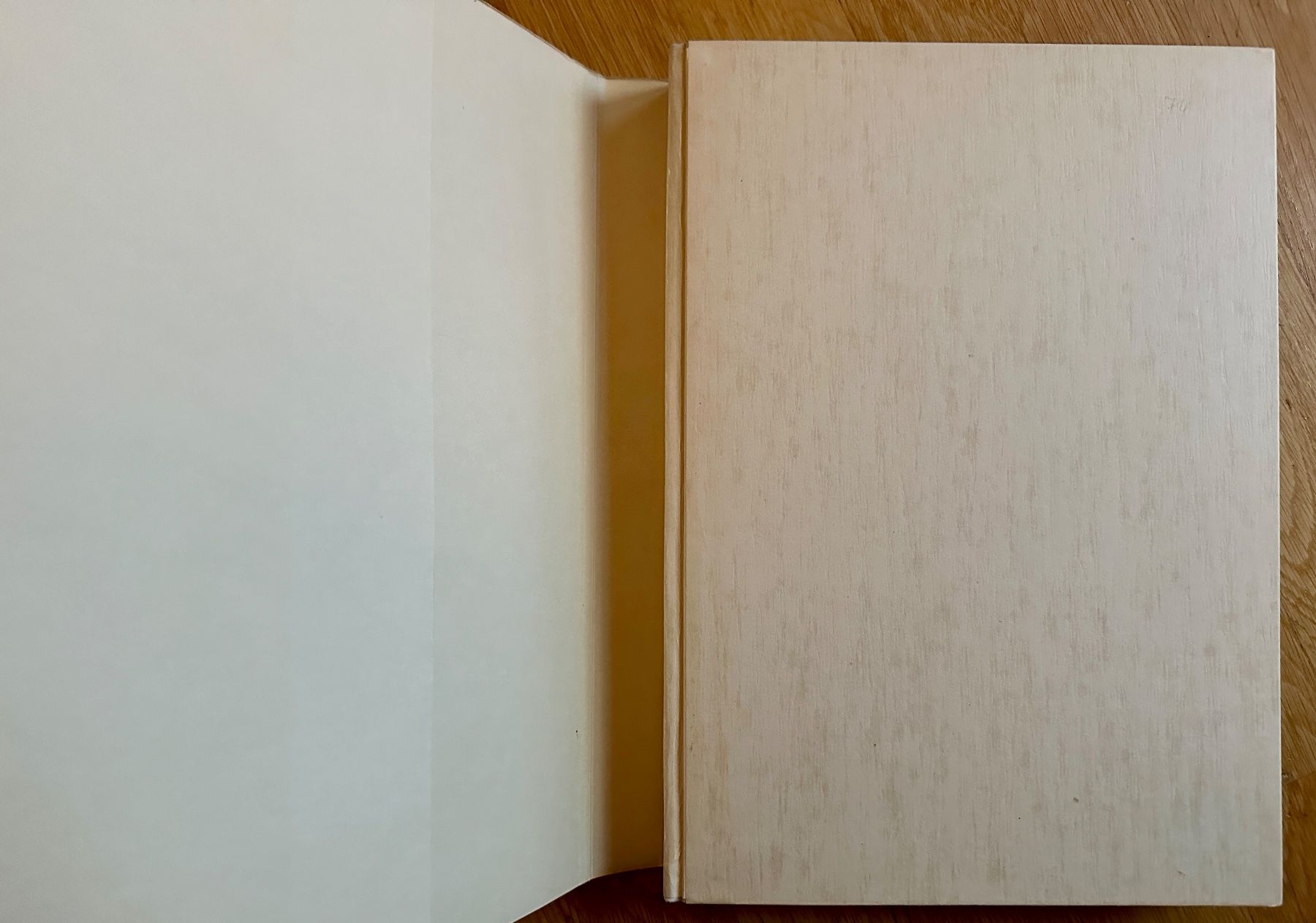 Bücher: Gunter Böhmer: Tagebuch eines Malers. 1944 – Gebraucht aus Zürich von allp 1