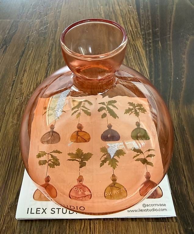 Vasi & Recipienti: Acorn Vase von Ilex Studio, Orange-Pink – Nuovo (secondo la descrizione) da Zürich venduto da TomTom2011 1
