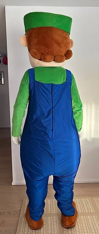 Costumi: Fasnachtskostüm / Partykostüm Luigi Vollmaske – Usato da Rafz venduto da MarcoSw85 2