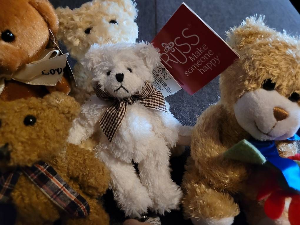 Giocattoli: 6 charmante Teddybären – Usato da Steckborn venduto da bee_76v9