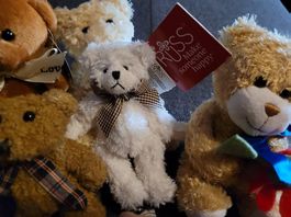 6 charmante Teddybären