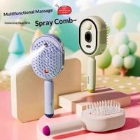Elektrische Haarbürste mit Sprühfunktion Massage Anti-Frizz