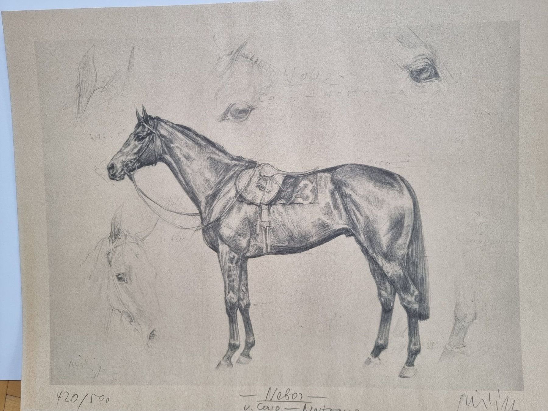 Grafica & Litografie: Klaus Philipp Kunstdruck  Nebos – Nuovo (secondo la descrizione) da Arosa venduto da horseracing 1