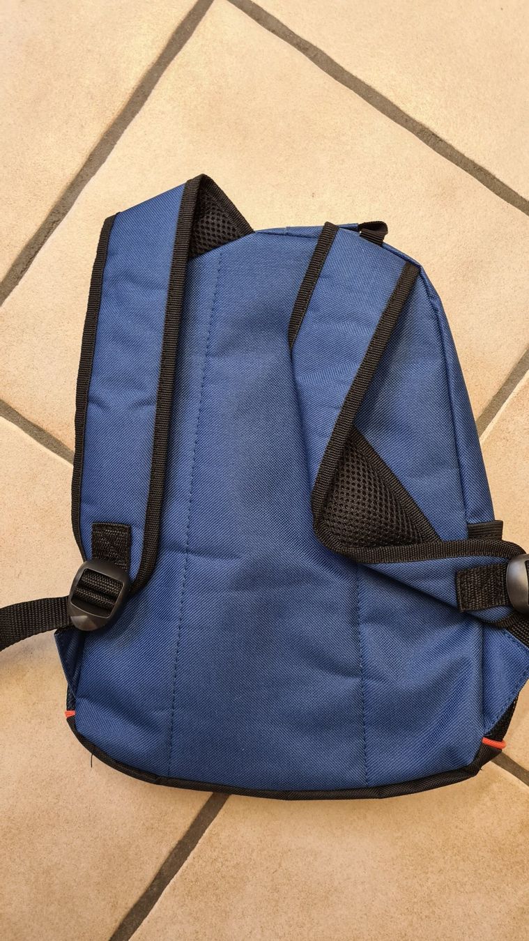 Disney Borse & Zaini: Planes Rucksack sehr gut erhalten – Usato da Obergösgen venduto da schesom 1