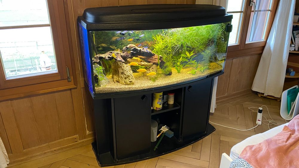 Altes (!) Aquarium Juwel Vision, 180 l Kaufen auf Ricardo