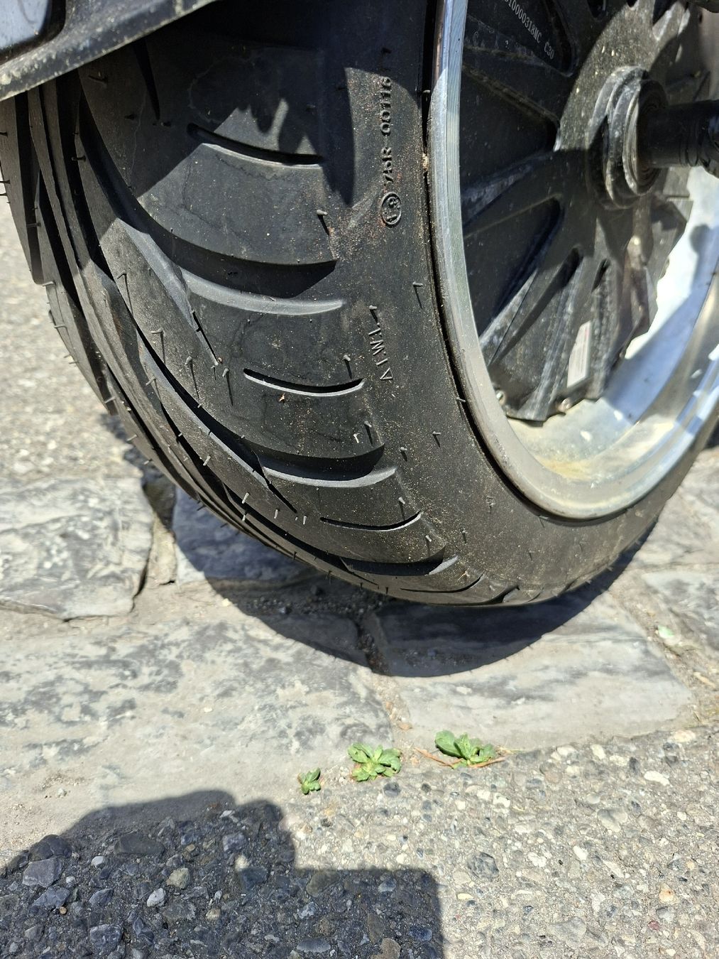 Scooter: elektroroller  – Usato da Ostermundigen venduto da Ismett 1