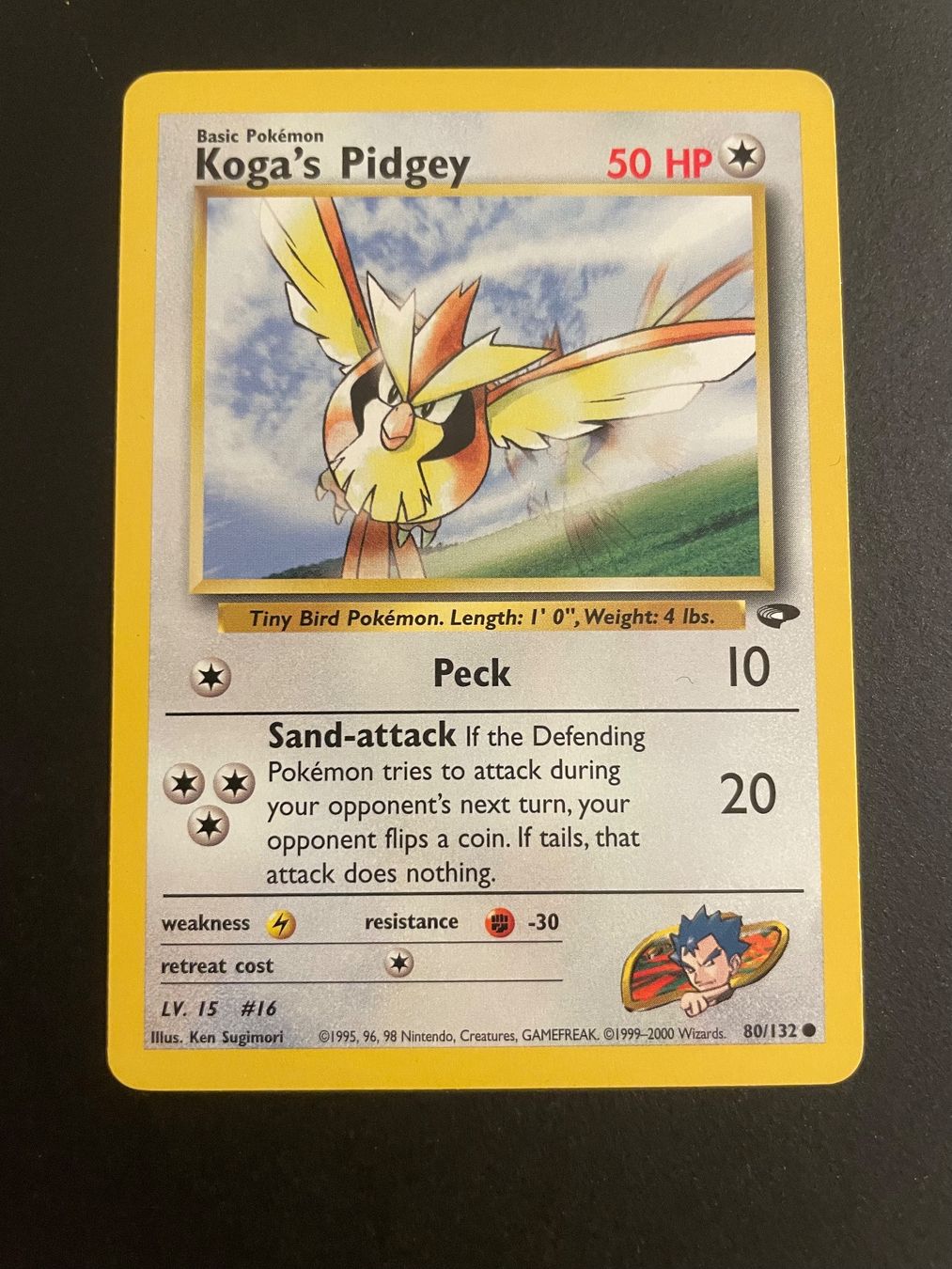 Pokémon Carte collezionabili: Koga's Pidgey 80/132 Gym Challenge – Usato da Zürich venduto da pokemon_cards