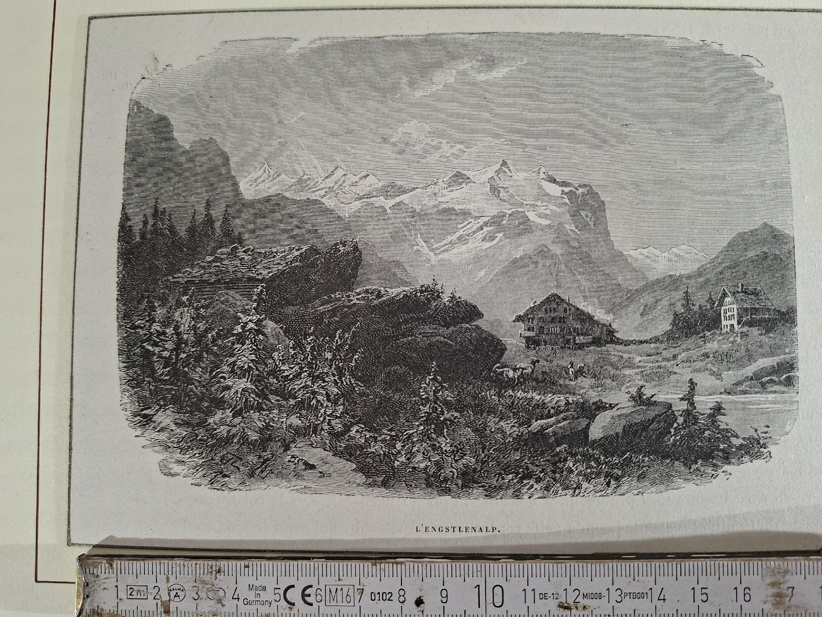 Incisioni: Lot  79   10 Stiche  – Usato da Grindelwald venduto da carro5 8