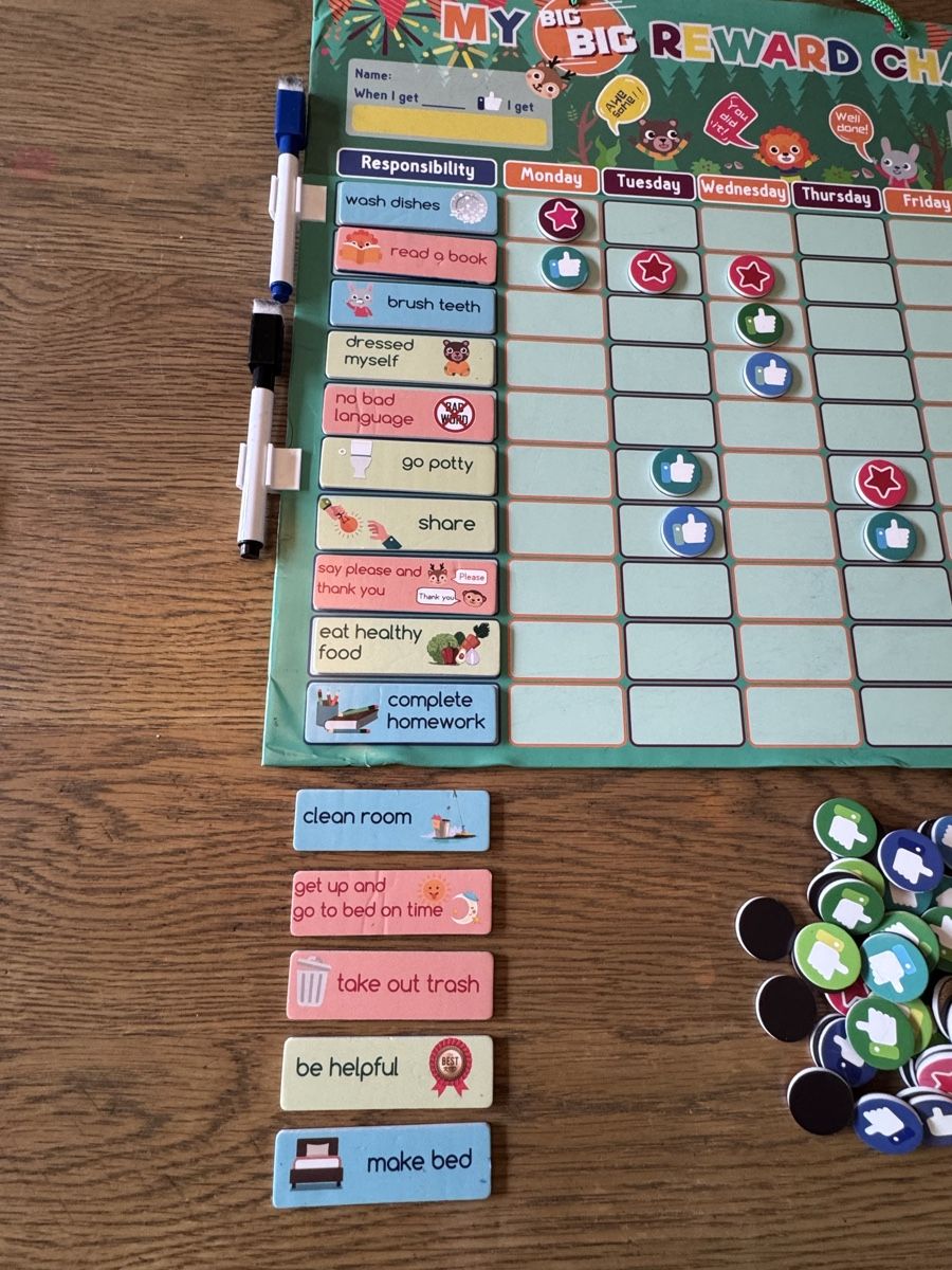 Giochi: Belohnungstabelle Motivationstafel mit Magneten! – Usato da Buchs ZH venduto da crazyhandbaggirl123 2