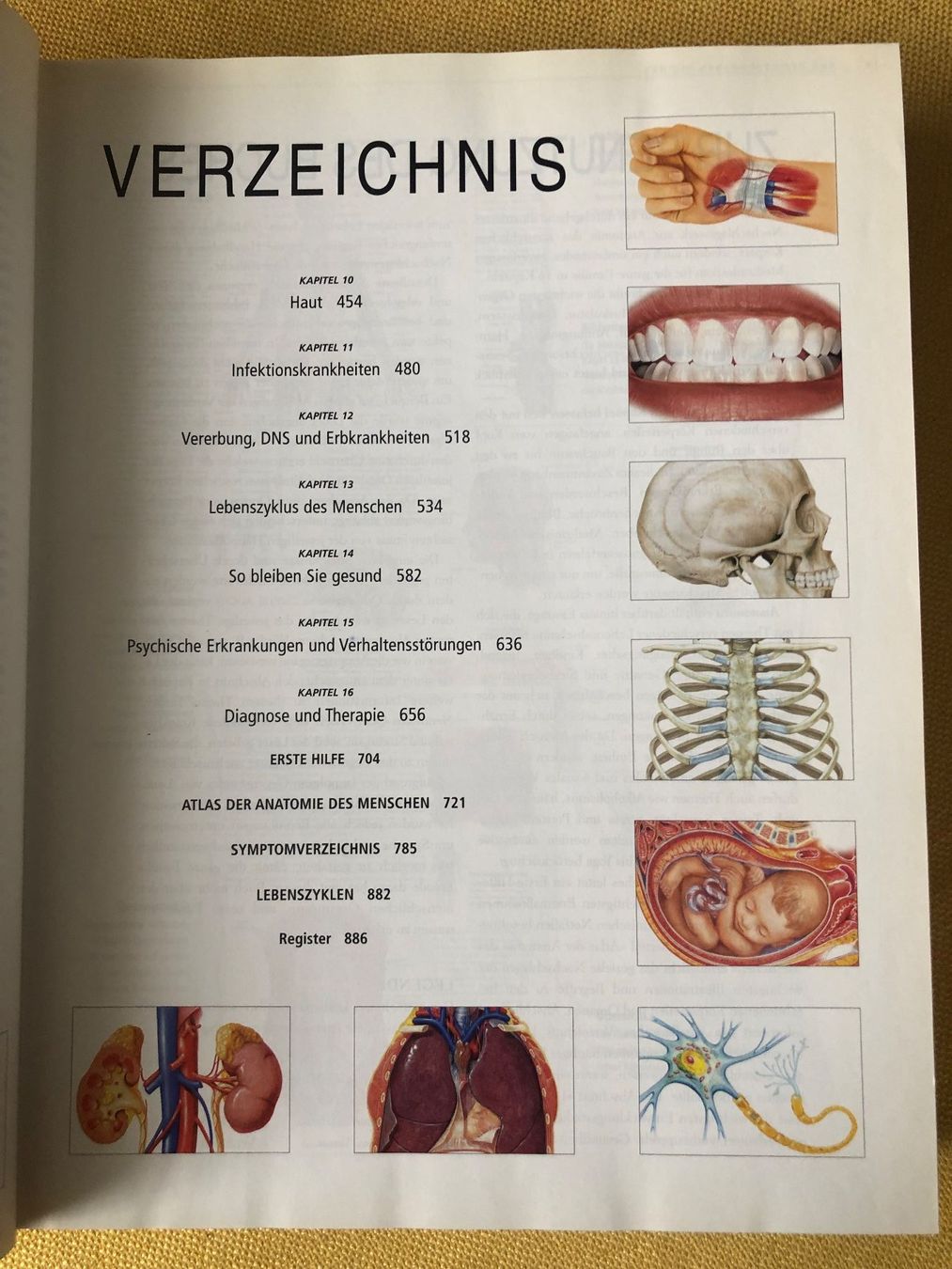 Libri: ANATOMICA von Könemann – Usato da Oberweningen venduto da Gerini 3