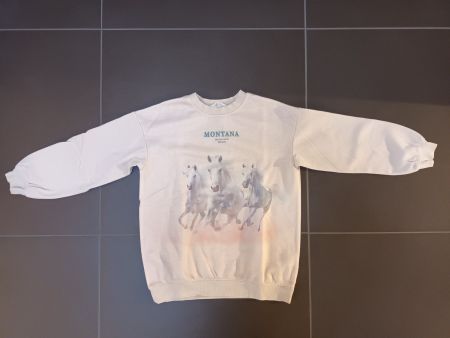 Pullover Langarm mit Pferdemotiv Gr. 134/140