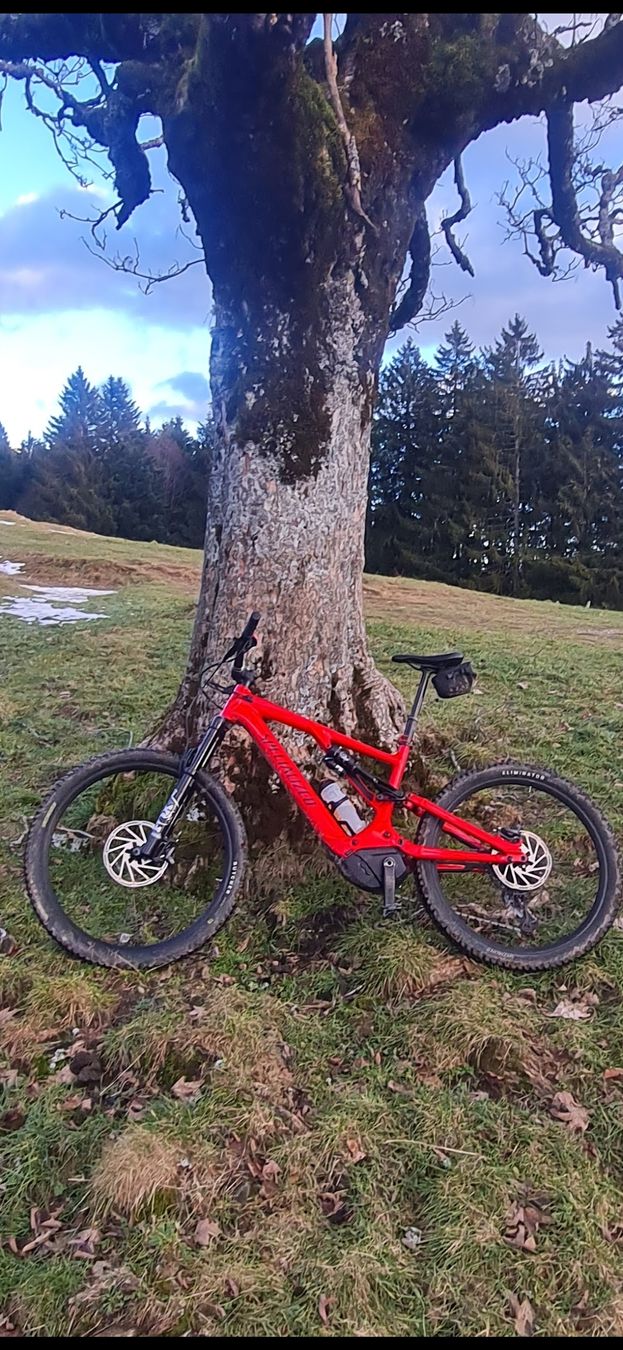 Specialized Biciclette: Turbo Levo Comp Alloy neuwertig  – Usato da Uznach venduto da Joda1