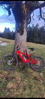 Turbo Levo Comp Alloy neuwertig 
