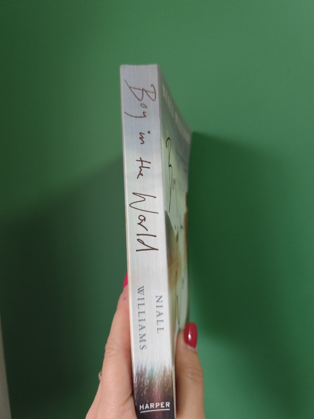 Libri: Niall Williams: Boy in the World – Usato da Mägenwil venduto da VintageGirly 3