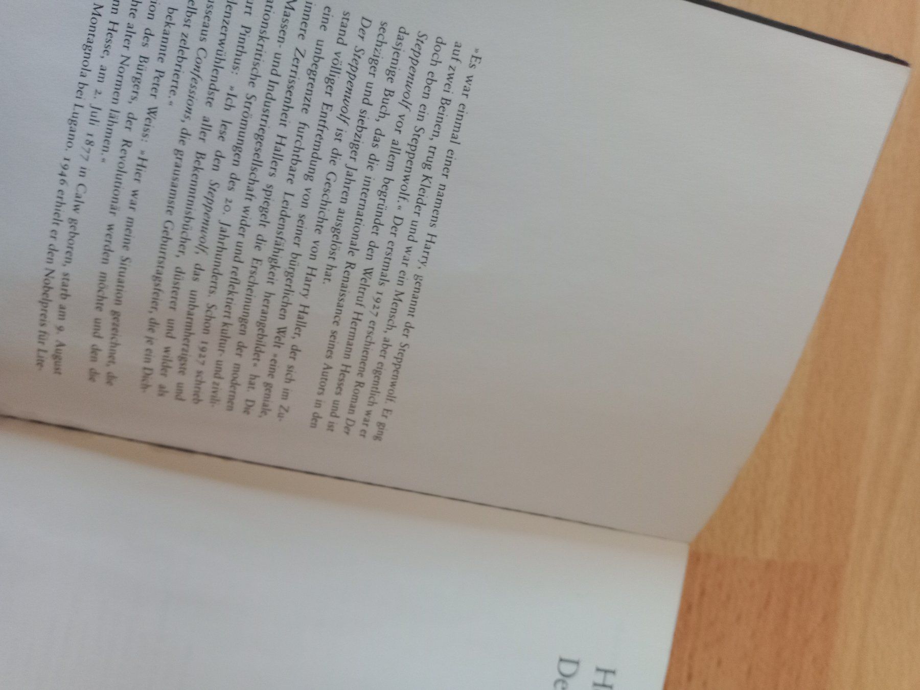 Libri: Hermann Hesse Der Steppenwolf Klassiker Suhrkamp Verlag – Usato da Wangen b. Olten venduto da EmilythestrangeX 4