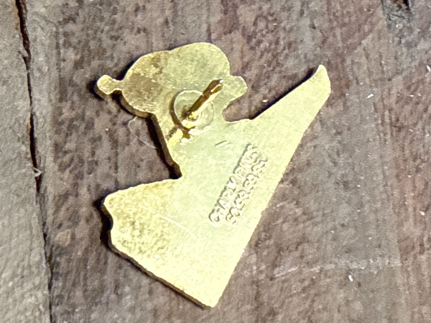 Plaquettes & Badges: Pin – D'occasion à Amriswil par used2use 1