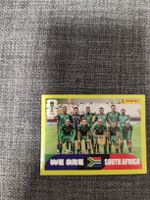 Panini RSA 13