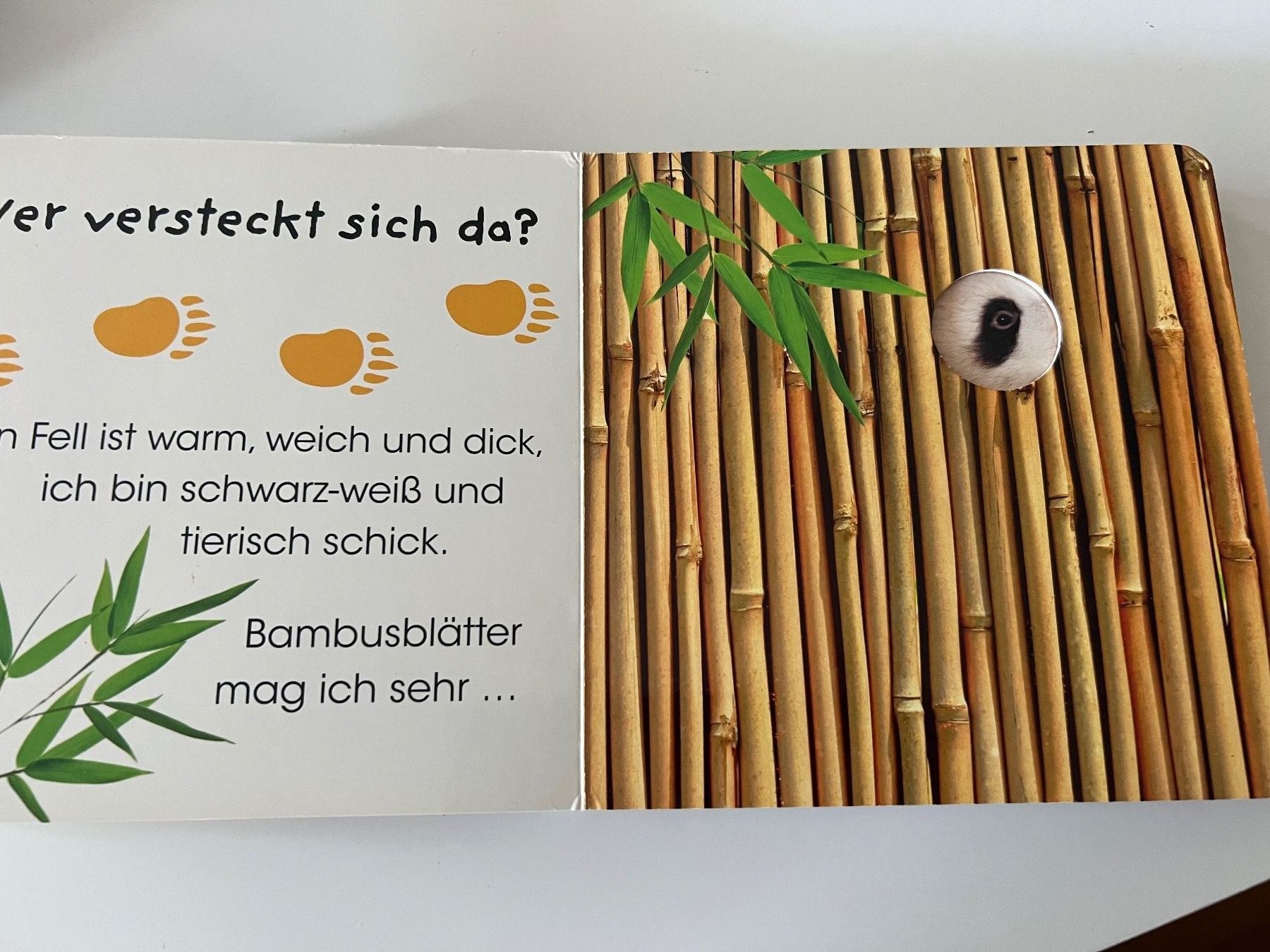 Libri: Gucklochbuch im Zoo – Usato da Thun venduto da Siladi 2