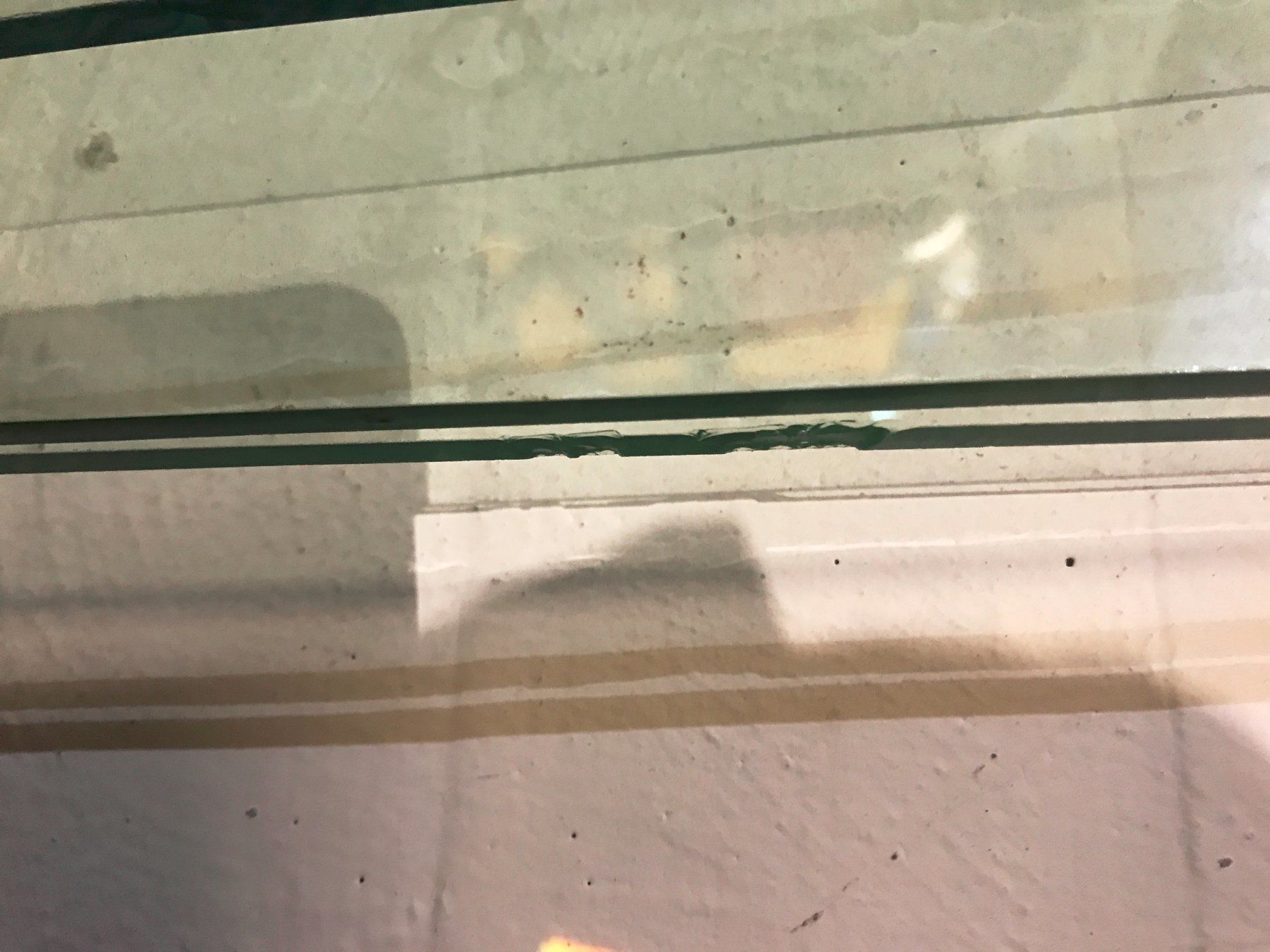 Piatti di portata: Glas Blatt, Blätter – Usato da Kreuzlingen venduto da JOWY72 3