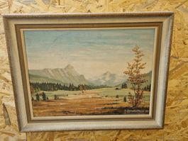Gemälde, signiert, D. Schurtenberger 63, Herbstlandschaft