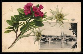 Passepartout-AK Basel, Brücke und Ortsansicht mit Alpenblume