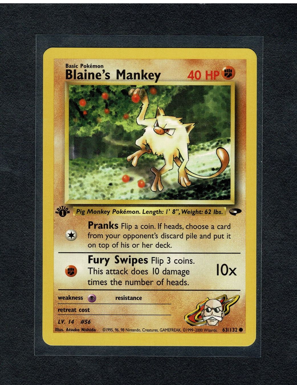 Pokémon Carte collezionabili: Blaine's Mankey - 1st edition Gym Challenge – Usato da Giubiasco venduto da rude01