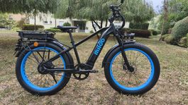 MILOO MIGHTY BEAST 45KM/H - DOUBLE BATTERIE - 593kms-2990chf