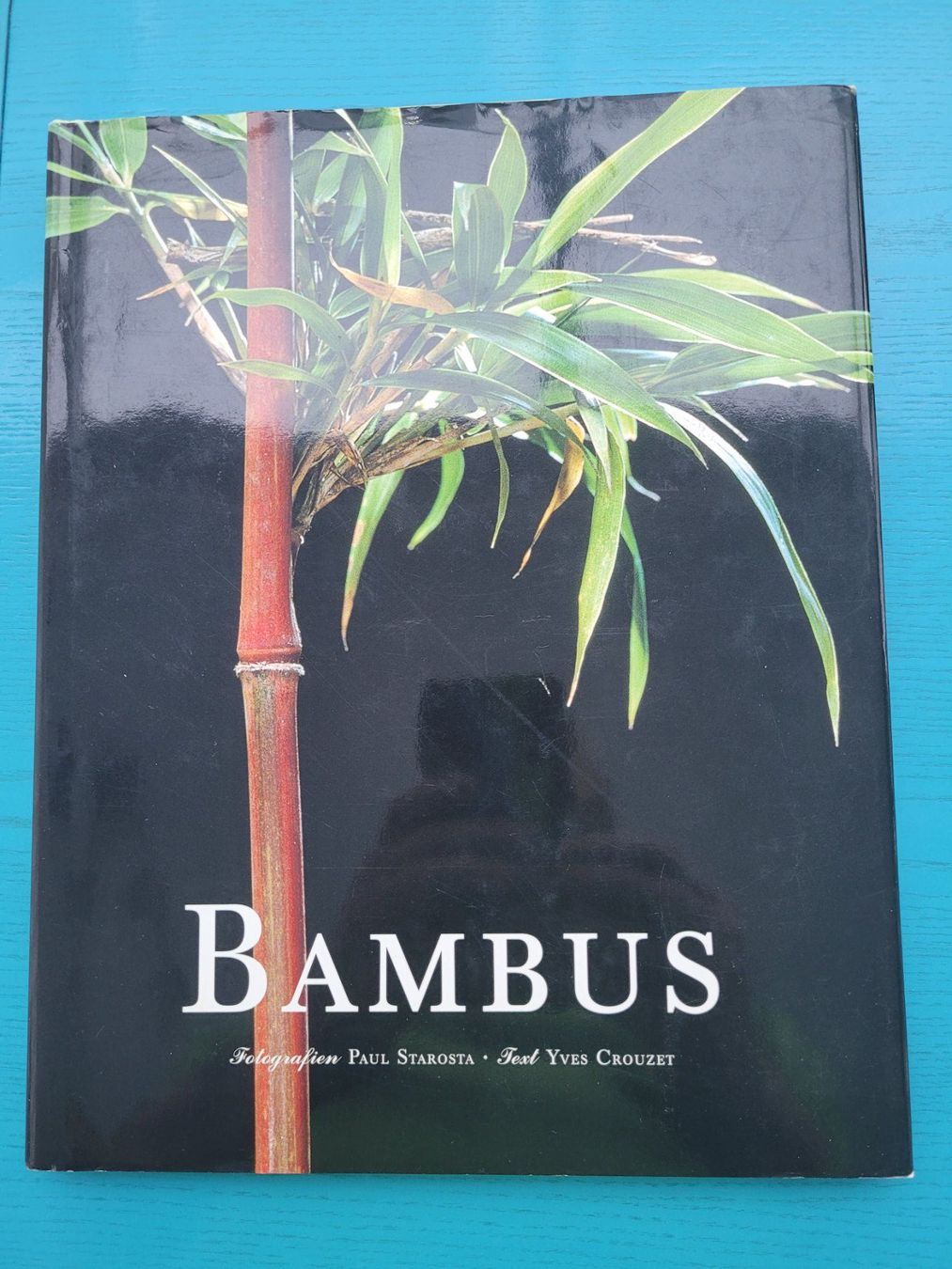 Libri: Bambus – Usato da SCHÜBELBACH venduto da CoKaHa