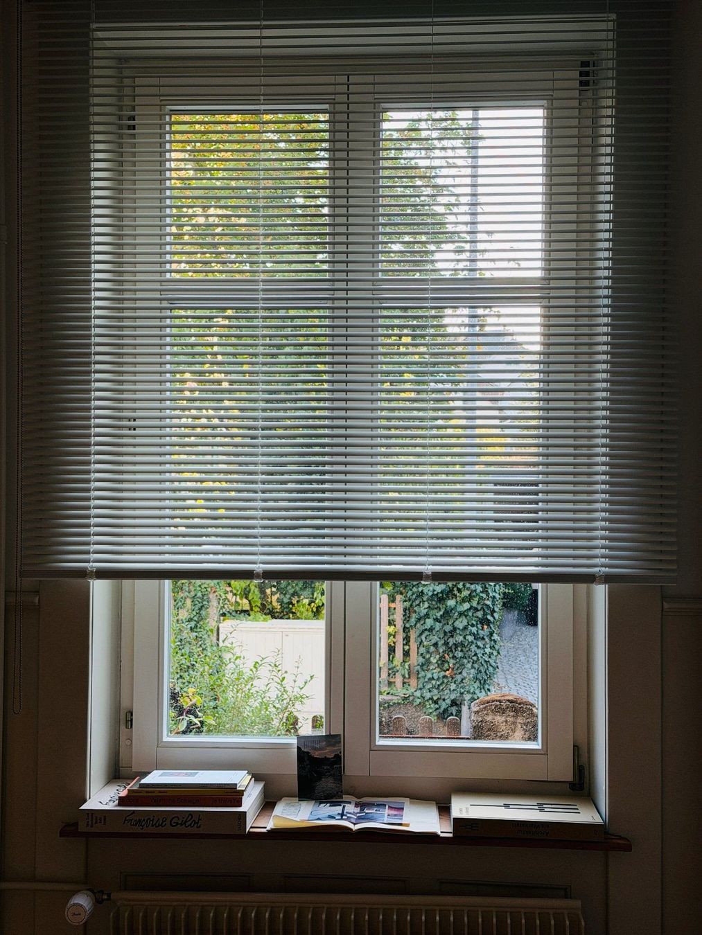 Markisen: Moderne Rollos mit Einklick-System – Gebraucht aus Schaffhausen von fas_v2ry 1