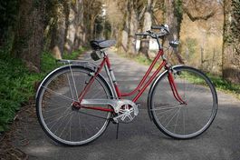 Wunderschönes CH-Oldtimer Damenvelo, 3-Gang Nabenschaltung
