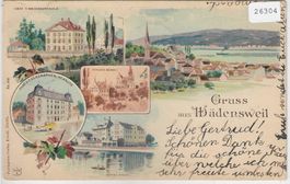 Gruss aus Wädenswil - Litho 1895