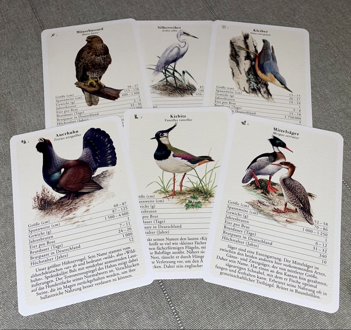 Spiele: Vogel Quartett – Neu (gemäss Beschreibung) aus Aarau von moosyfox 1