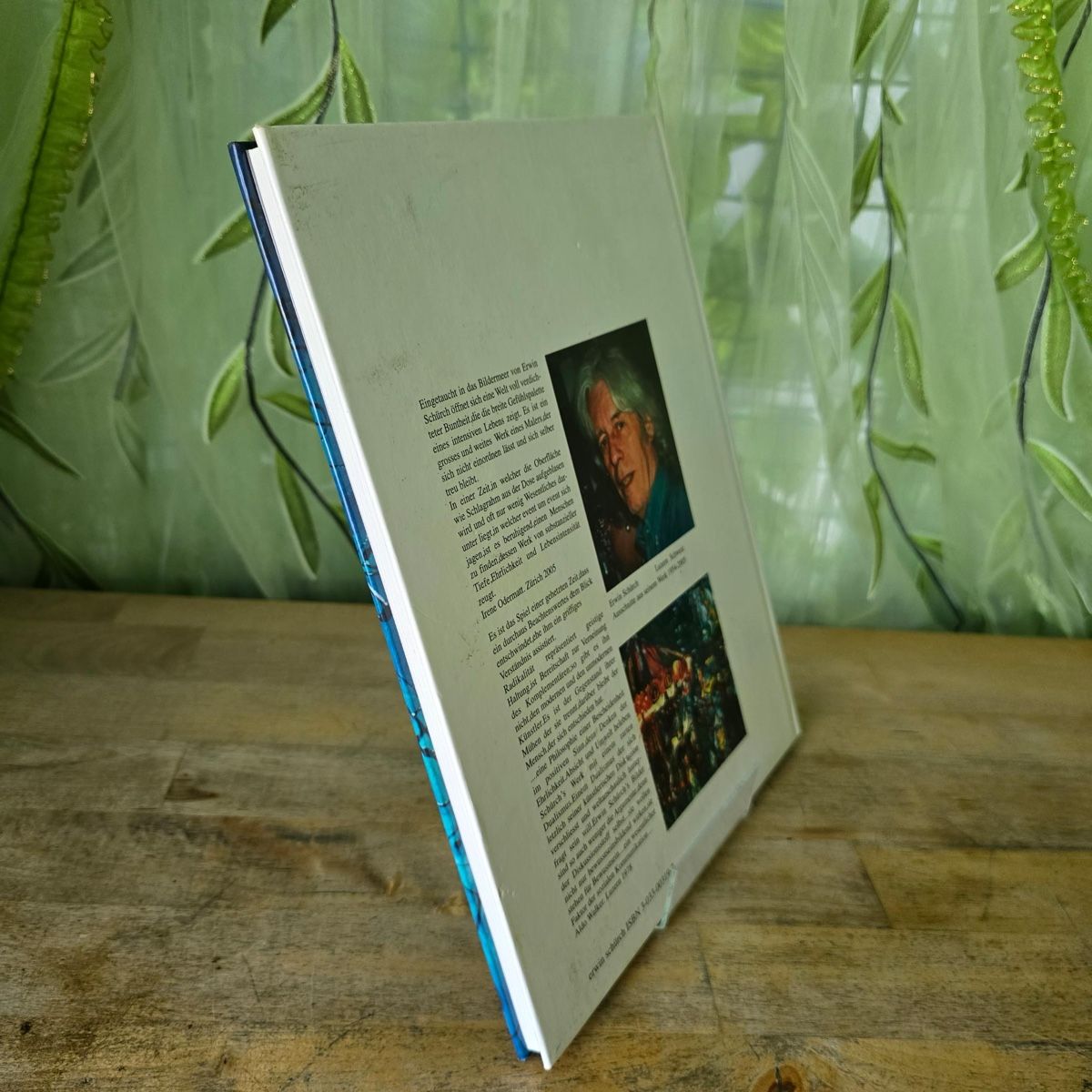 Libri: Erwin Schürch Ausstellungskatalog – Usato da Merlischachen venduto da Sheavy 5