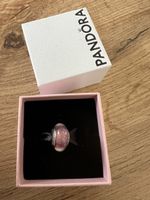 Pandora x Disney Ldt. Ed. Rapunzel murano Charm