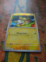 POKEMON  Yamper    H  TEF EN    058/162    HP70    2024