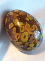 Fossiles Korallen Ei, Jasper, Mineral