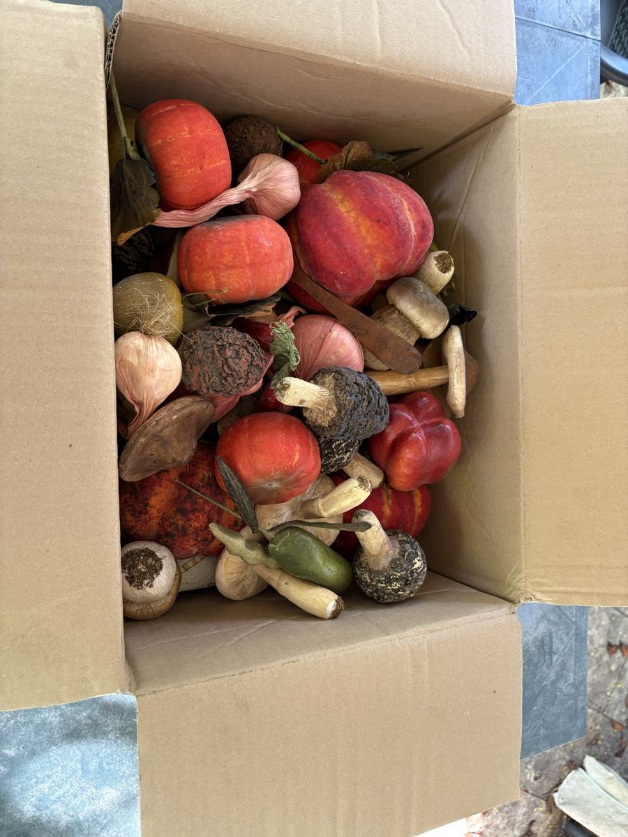 Tutte le decorazioni: Légumes de décoration en papier  – Usato da Cointrin venduto da inf_9j5w 2