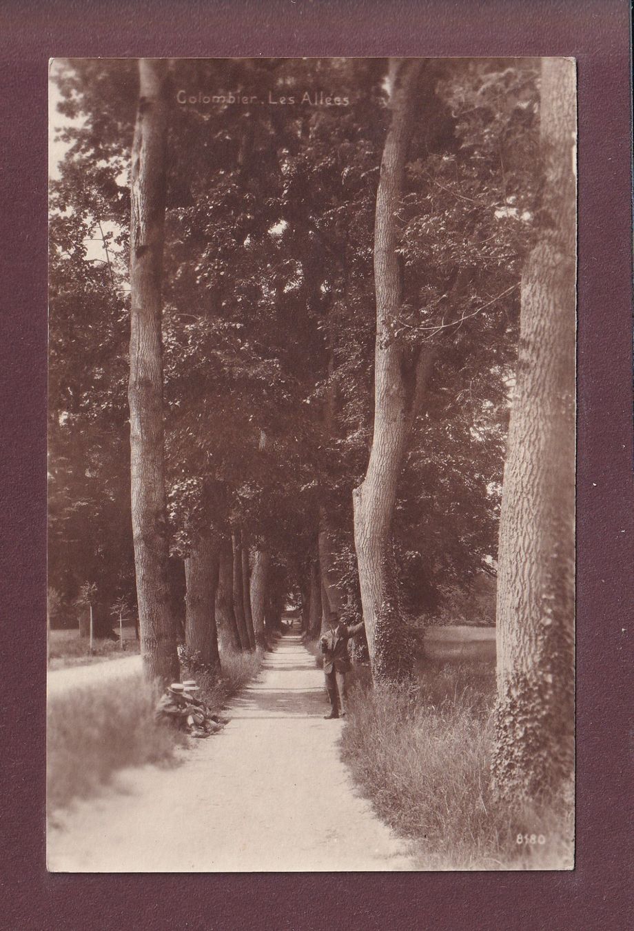 Ansichtskarten: COLOMBIER - Les Allées - 1919 – Gebraucht aus Pully von nicecards