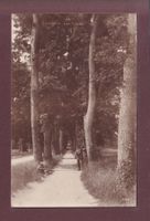 COLOMBIER - Les Allées - 1919