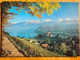 Spiez am Thunersee, Ansichtskarte