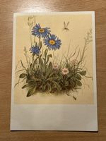 Alte Ansichtskarte Sommerliche Blumenwiese, Grussbotschaft