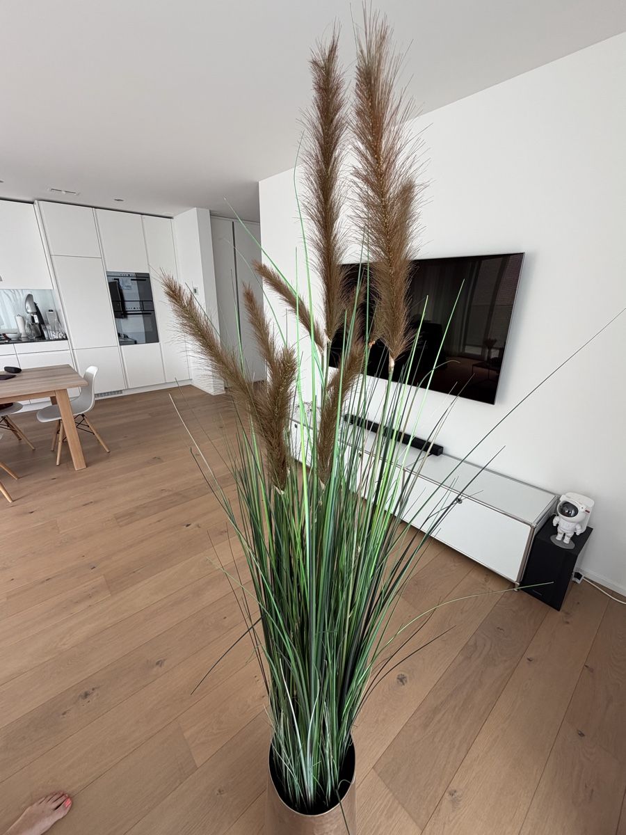 Tutte le decorazioni: Dekoration Schilf mit Vase ca 180cm hoch – Usato da Winterthur venduto da saram26 1