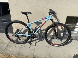 Trek Mountainbike