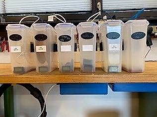 Filament: Filamentboxen – Gebraucht aus Zofingen von sportster60