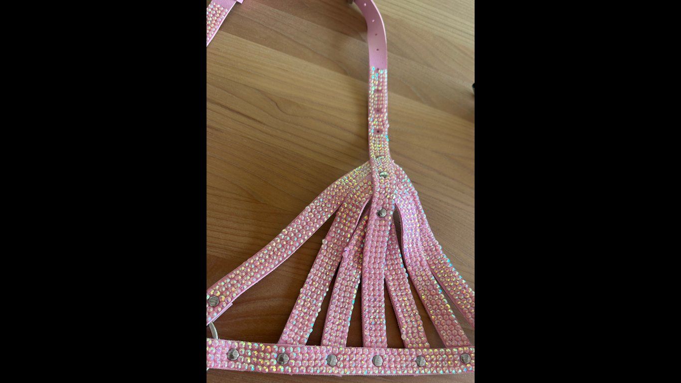 Kostüme: Pinkes Harnischen Set mit Strass un Glitzerfransen – Gebraucht aus Goldau von rkl86 2