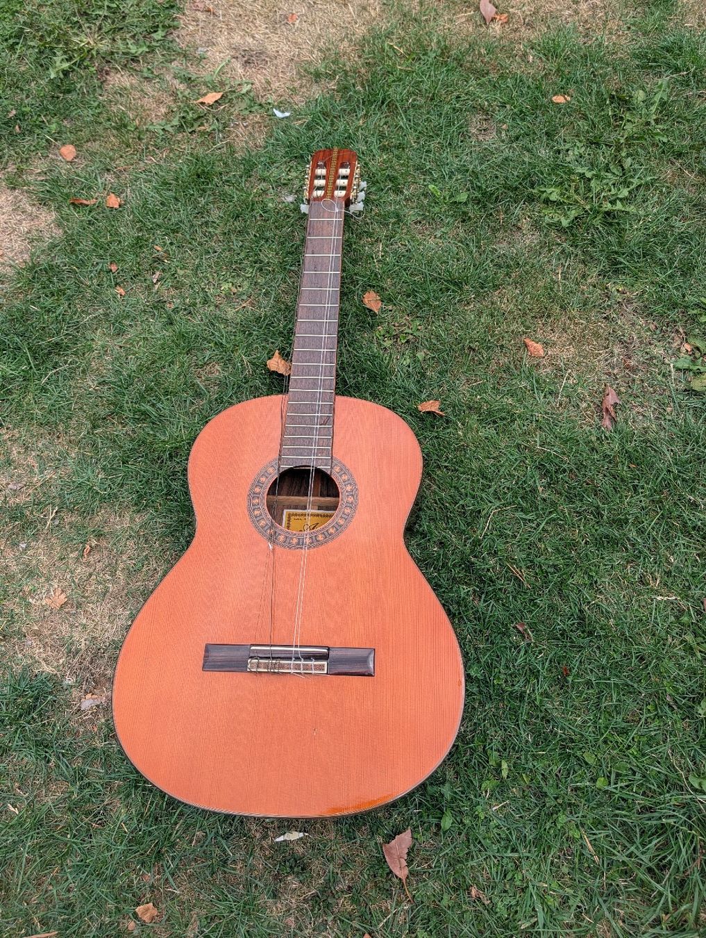 Instruments de musique: gitarre – D'occasion à Täuffelen par Seeberg-ag.ch 2