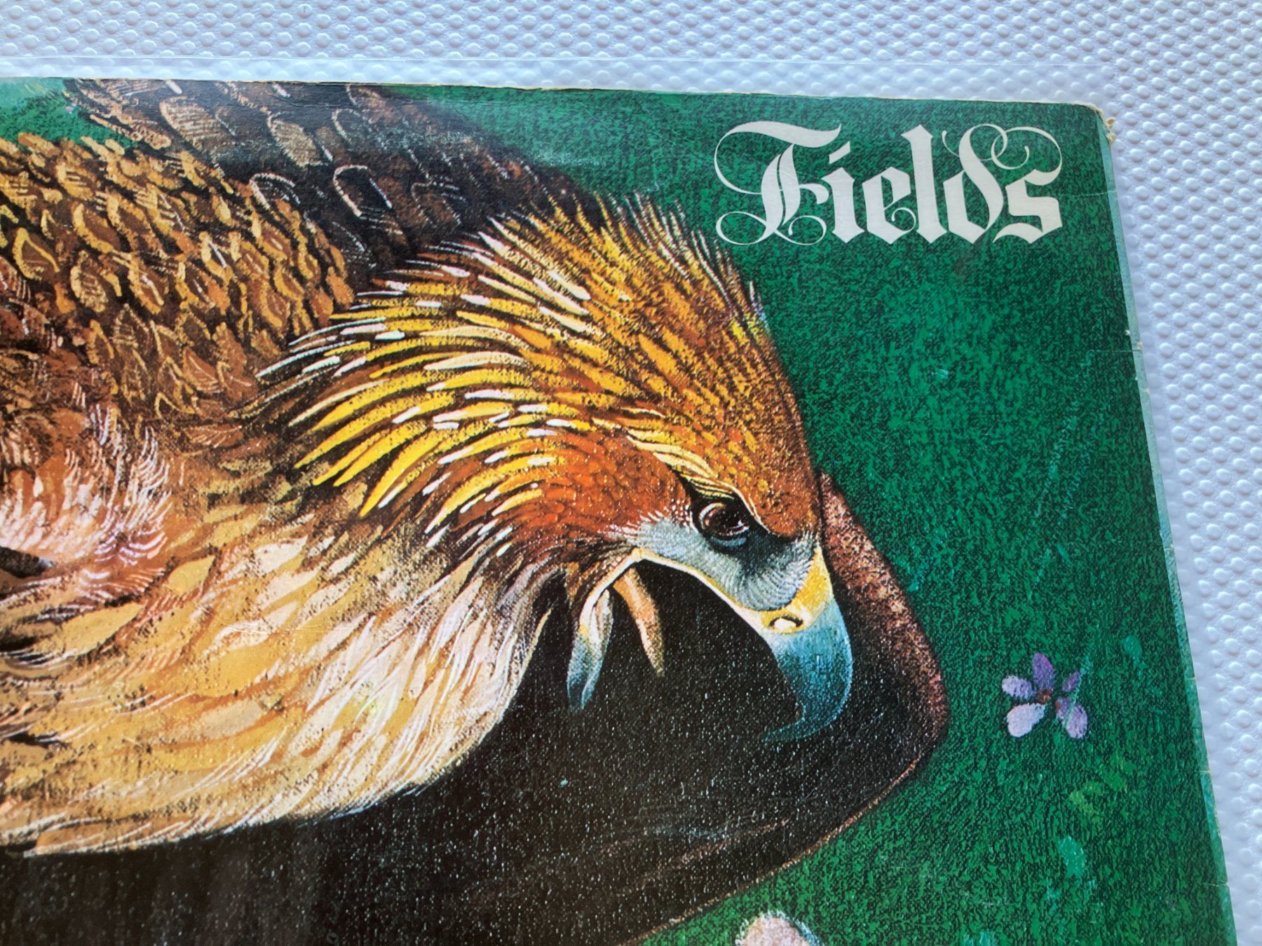 Dischi in vinile: Fields – Usato da Aarwangen venduto da Jukebox3 1