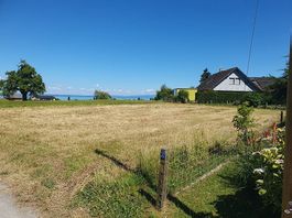 Humuserde aufgrund Neubau abzugeben 