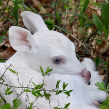 Profile image of bonita099